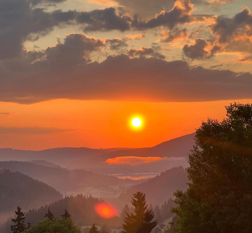 Am Berg Apartman Feldberg  Kültér fotó