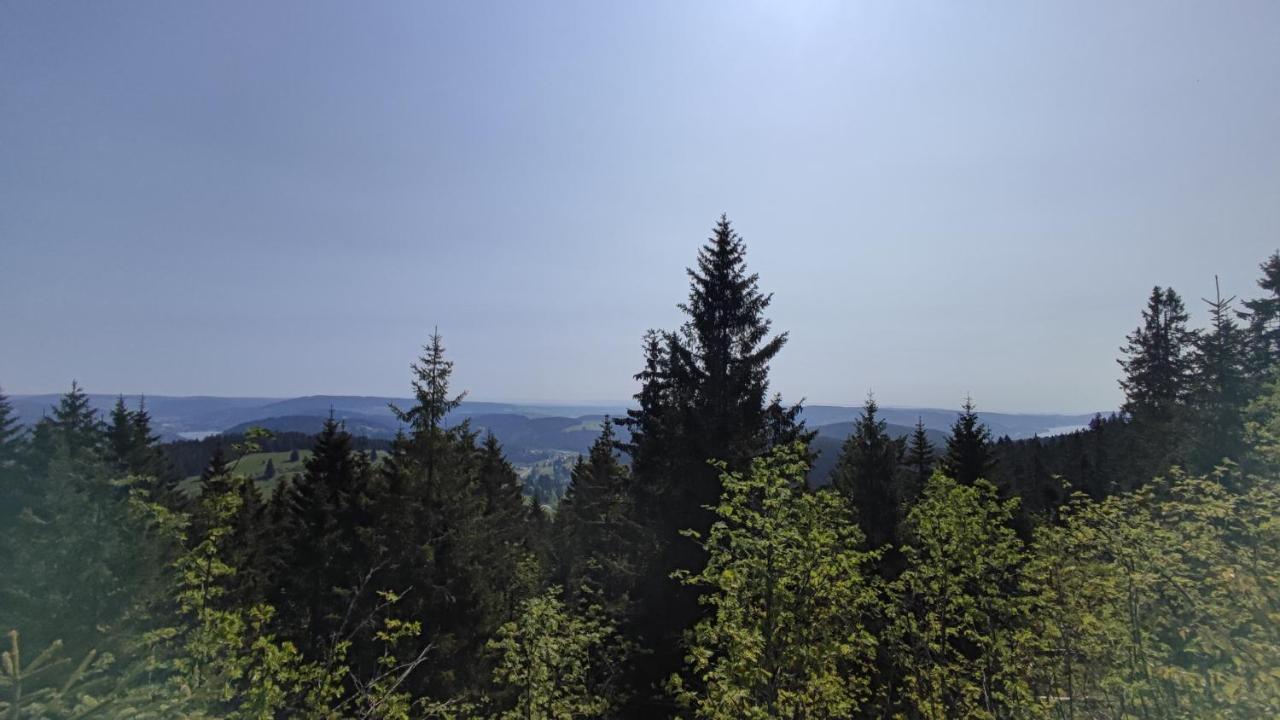 Am Berg Apartman Feldberg  Kültér fotó