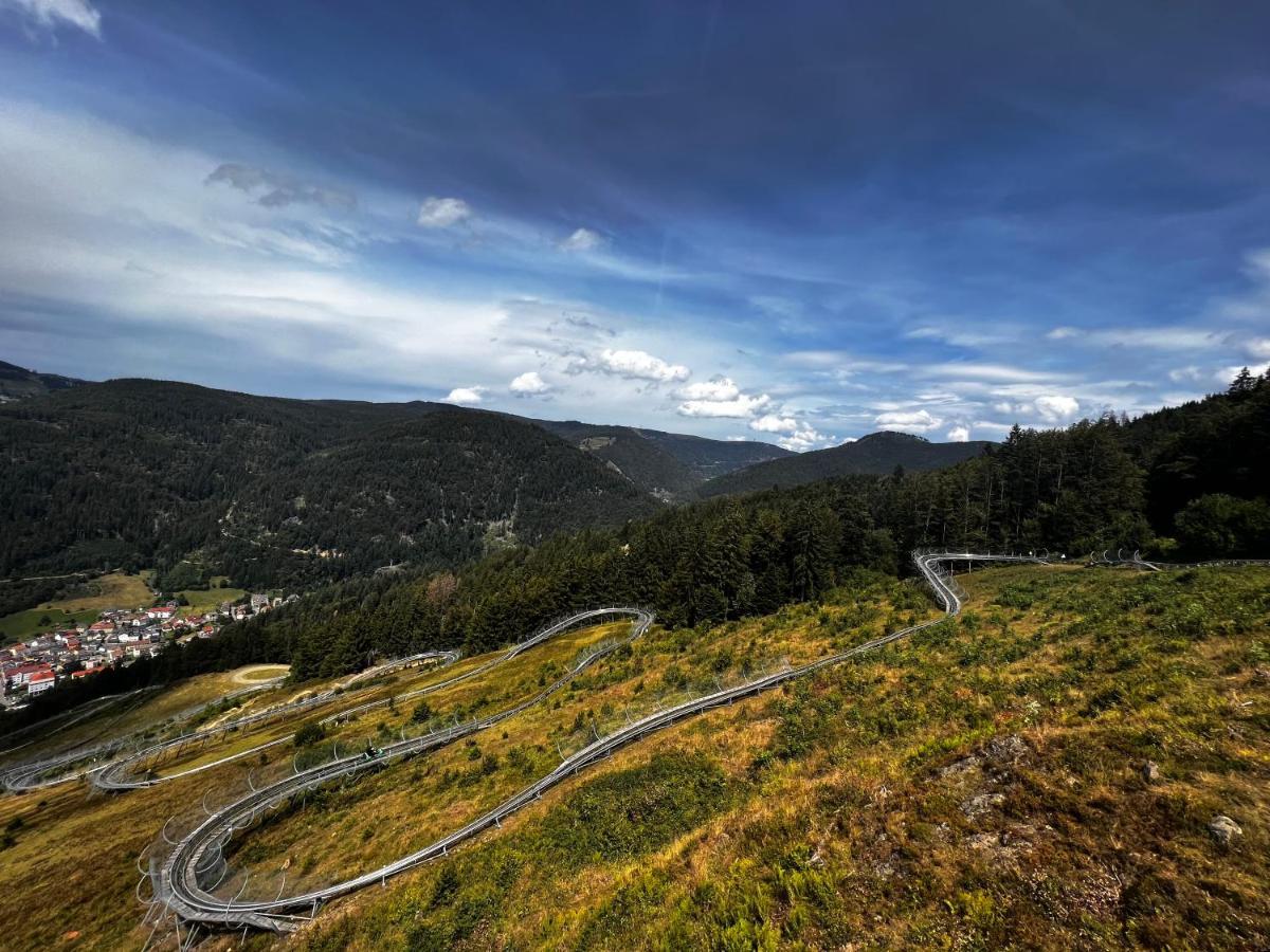 Am Berg Apartman Feldberg  Kültér fotó