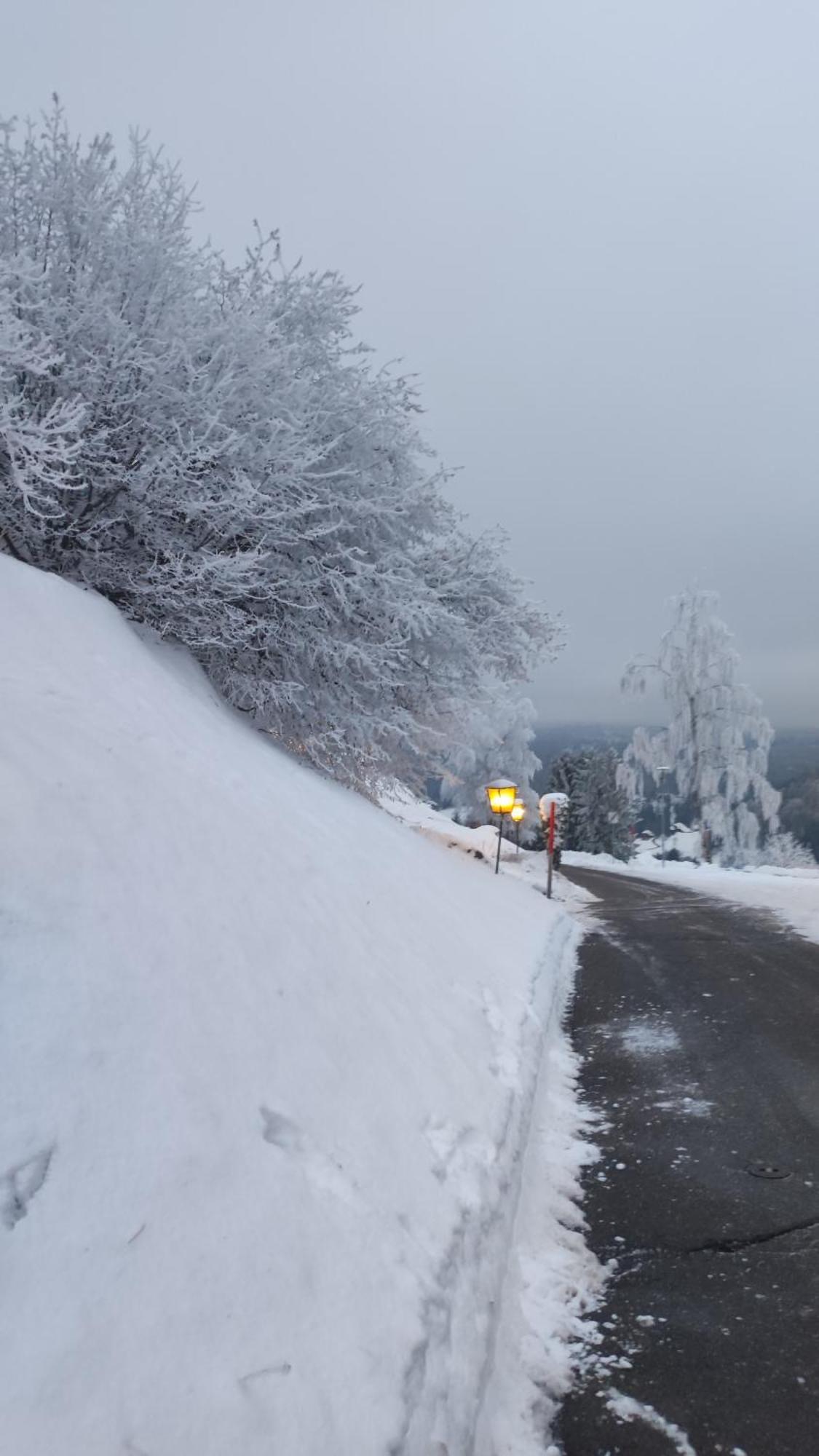 Am Berg Apartman Feldberg  Kültér fotó