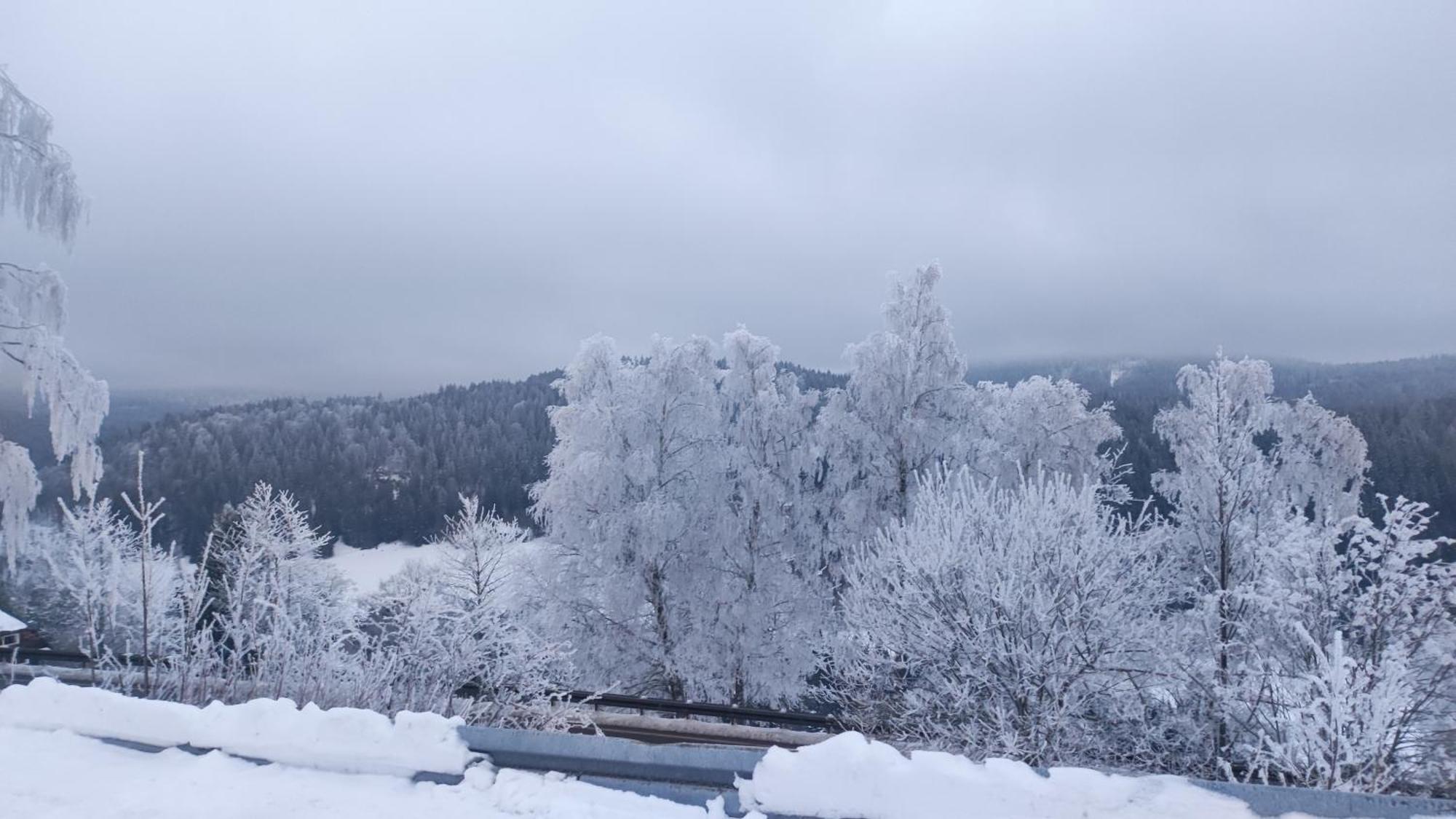 Am Berg Apartman Feldberg  Kültér fotó
