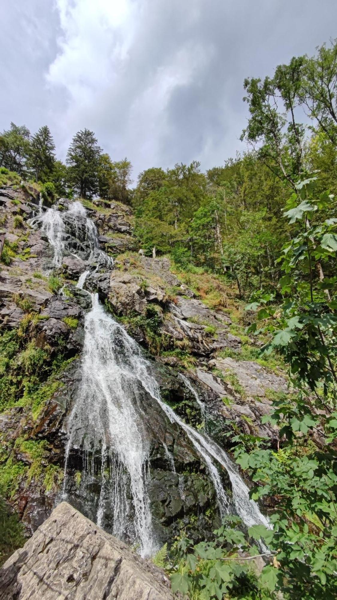Am Berg Apartman Feldberg  Kültér fotó